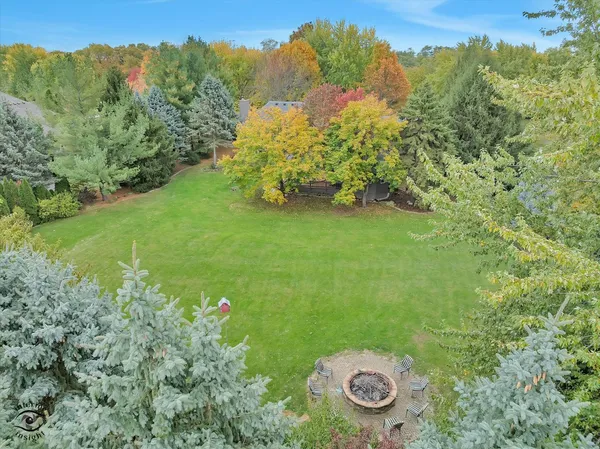 a view of a garden with a bench