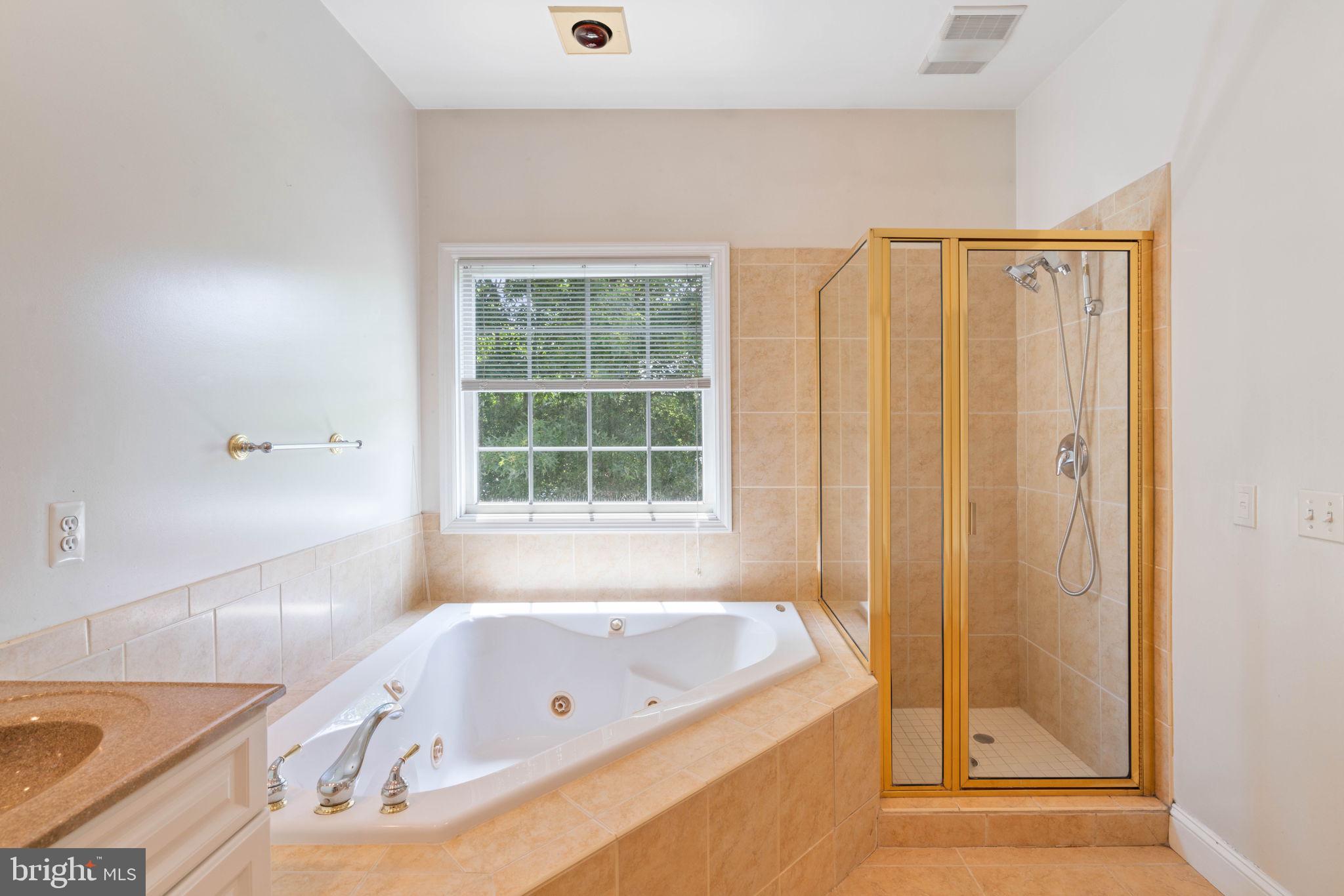 4512 Gage Road Alexandria, VA 22309 - Photo 16 of 69 Master Bathroom hot tub and shower