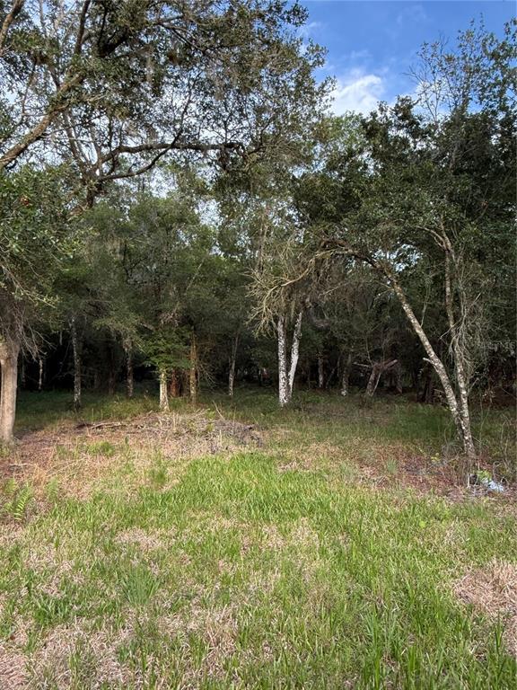 Southeast Brown Road Arcadia, FL 34266 - Photo 5 of 18 a backyard of a house with table and chairs