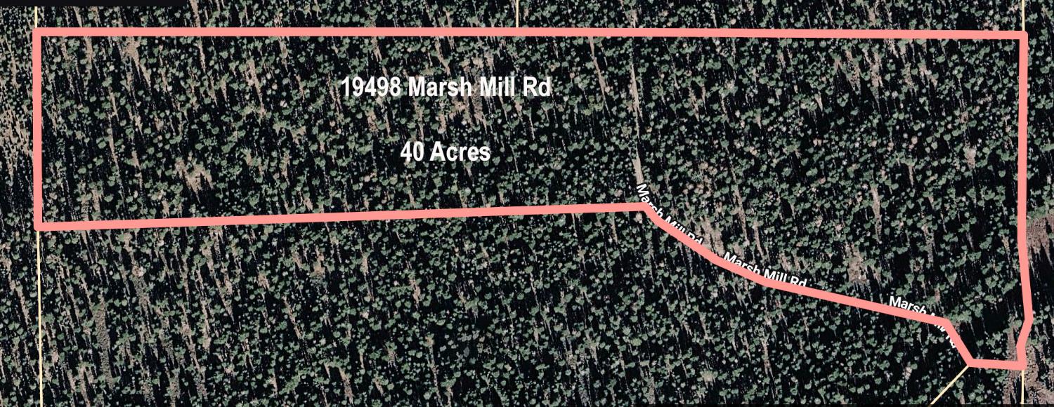 19498 Marsh Mill Road Nevada City, CA 95959 - Photo 2 of 24