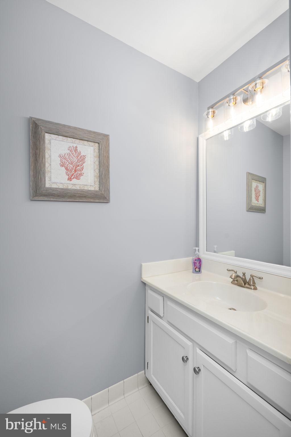 43861 Laburnum Square Ashburn, VA 20147 - Photo 16 of 46 a bathroom with a sink and a mirror