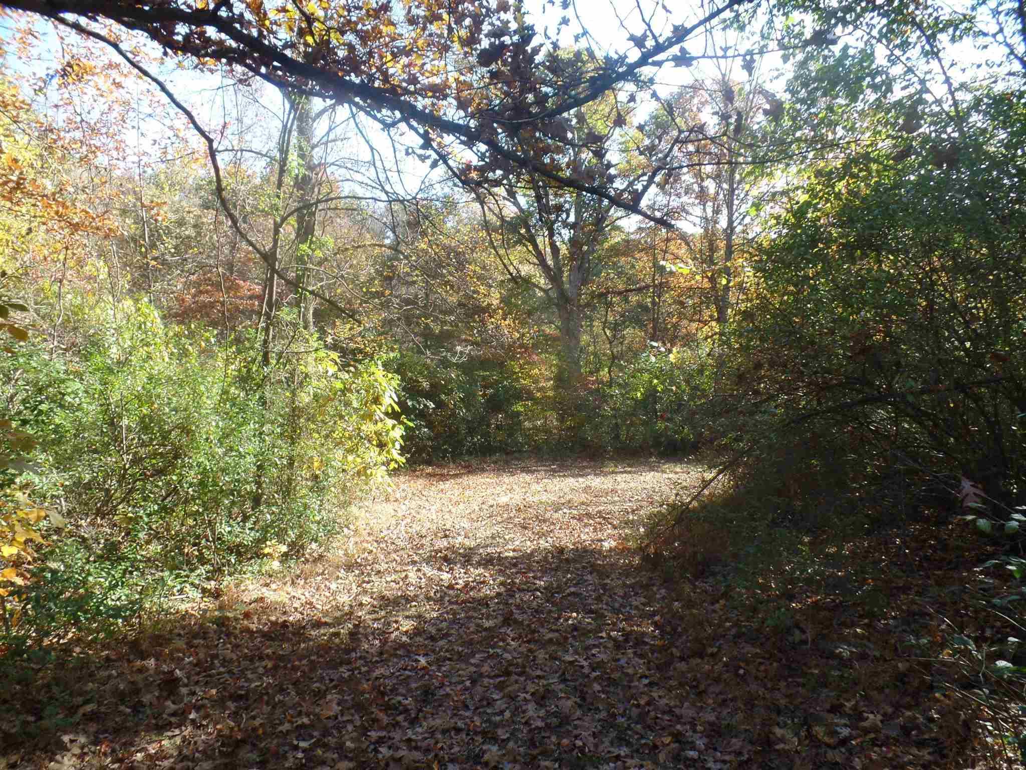 6895 South Doans Road Bloomfield, IN 47424 - Photo 25 of 29 Gallery Image 25