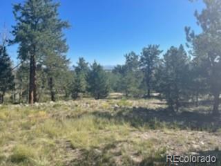 2008 Bellows Road Hartsel, CO 80449 - Photo 1 of 8