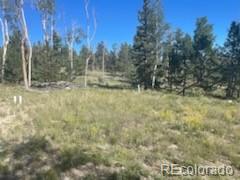 2008 Bellows Road Hartsel, CO 80449 - Photo 2 of 8