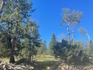 2008 Bellows Road Hartsel, CO 80449 - Photo 3 of 8