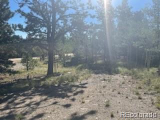 2008 Bellows Road Hartsel, CO 80449 - Photo 4 of 8