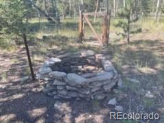 2008 Bellows Road Hartsel, CO 80449 - Photo 5 of 8