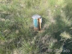 2008 Bellows Road Hartsel, CO 80449 - Photo 6 of 8
