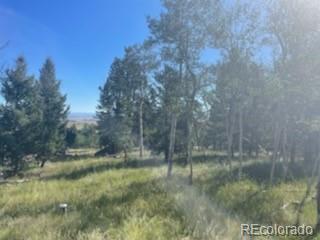 2008 Bellows Road Hartsel, CO 80449 - Photo 7 of 8