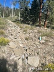 2008 Bellows Road Hartsel, CO 80449 - Photo 8 of 8