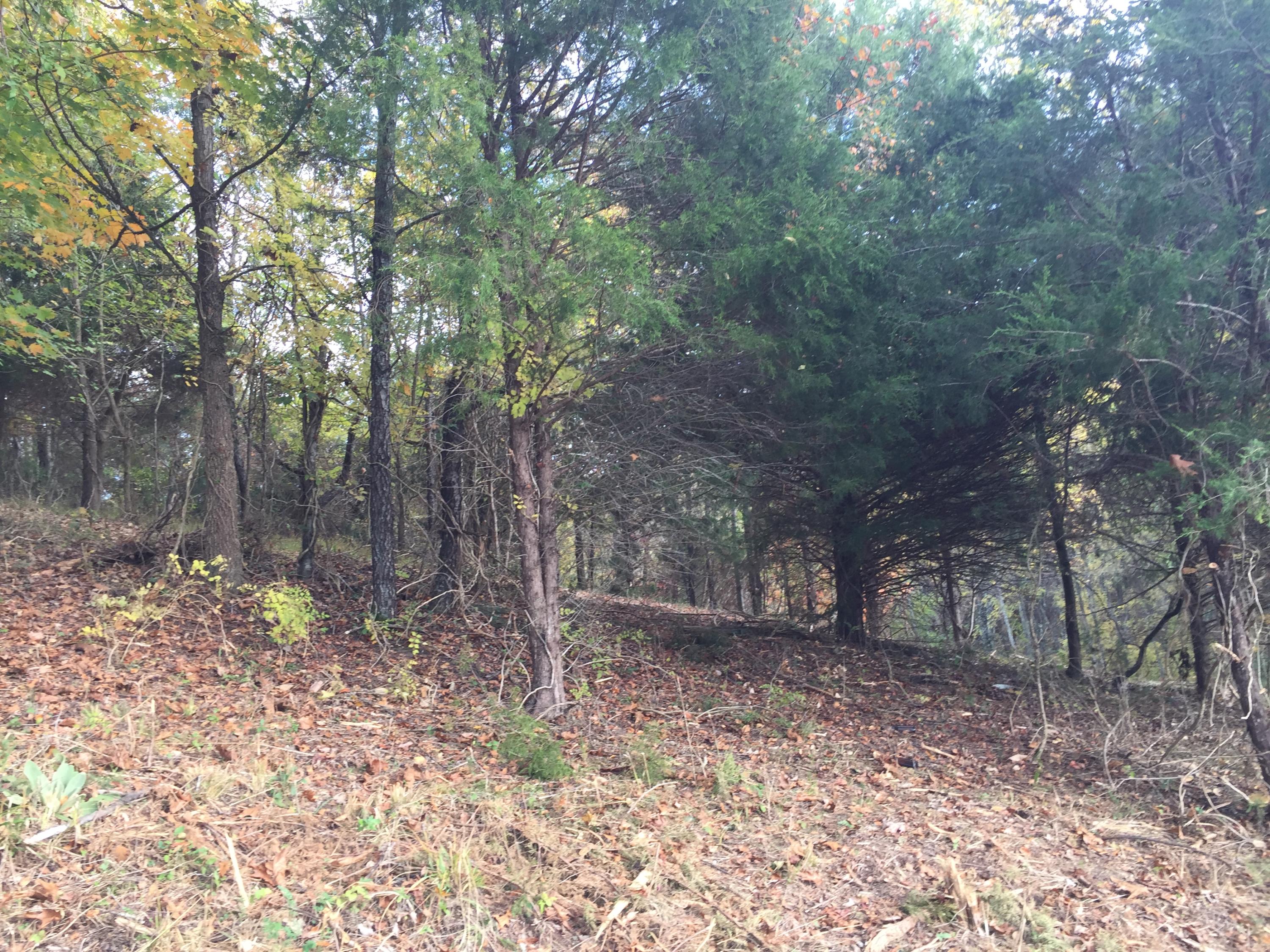 Lot 1 Charles Johnson Road, Unit 1 Chuckey, TN 37641 - Photo 1 of 6 IMG_8426