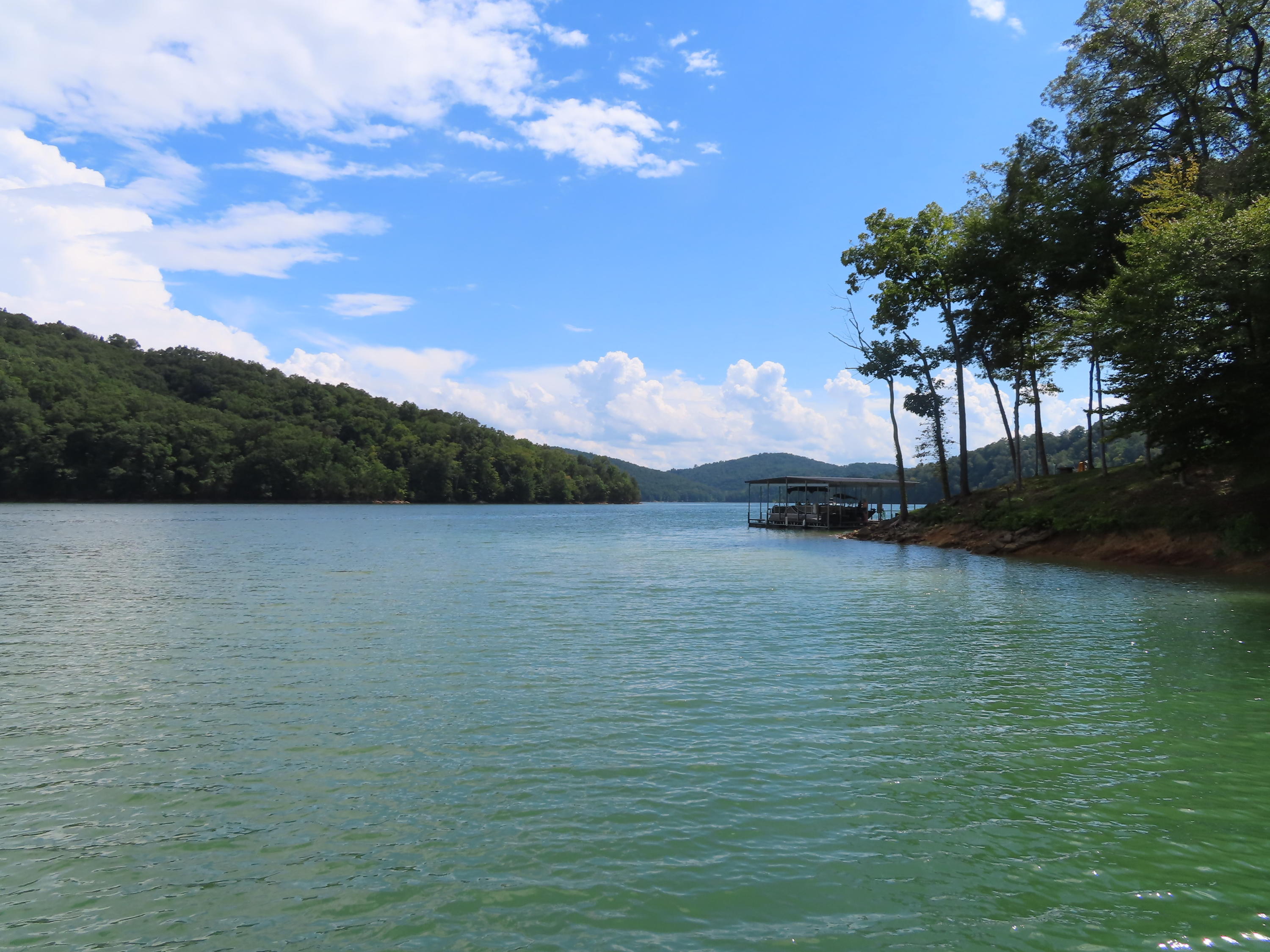 105 Tanglewood Road Sharps Chapel, TN 37866 - Photo 11 of 13 Marina