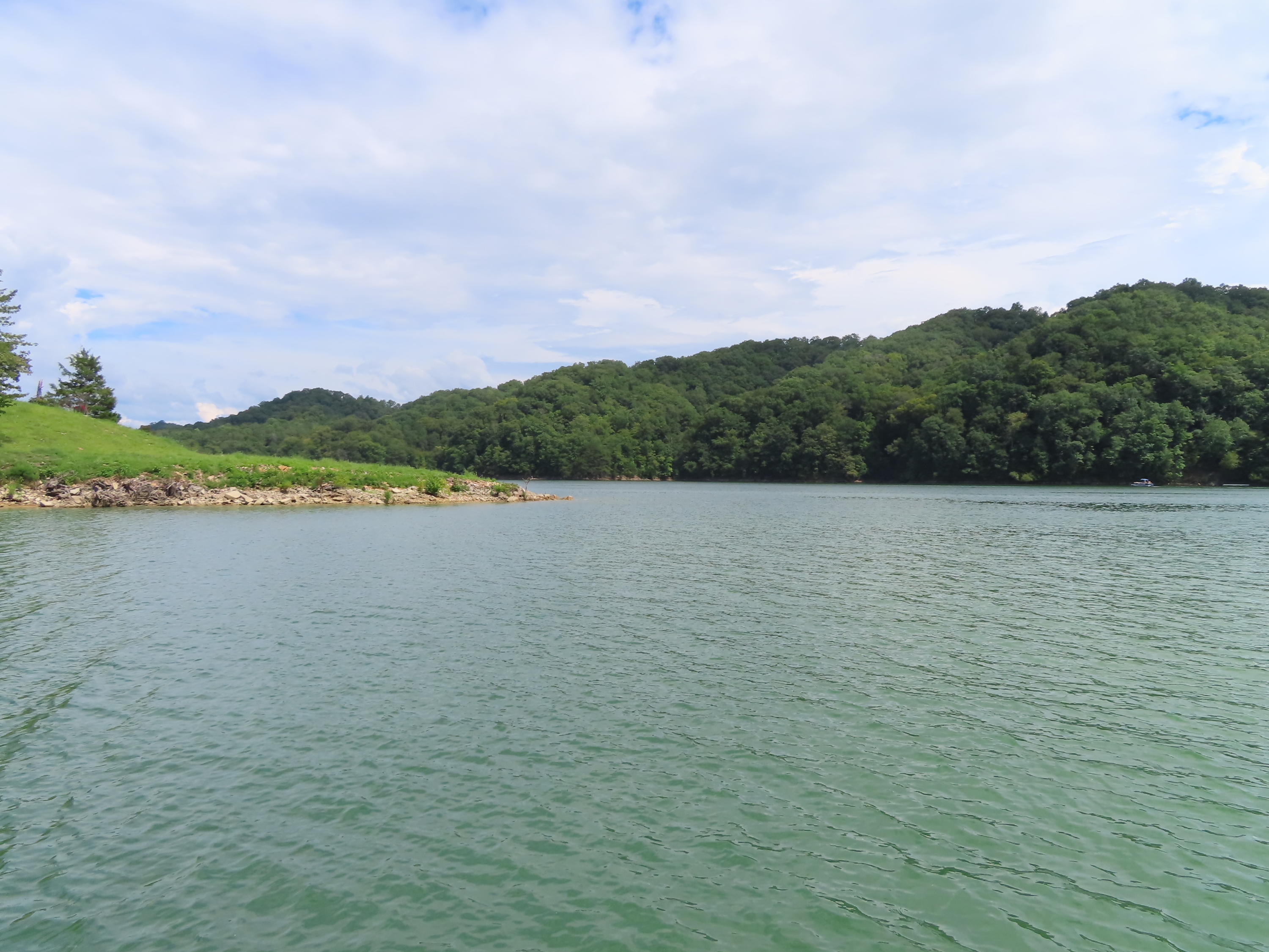 105 Tanglewood Road Sharps Chapel, TN 37866 - Photo 12 of 13 Marina