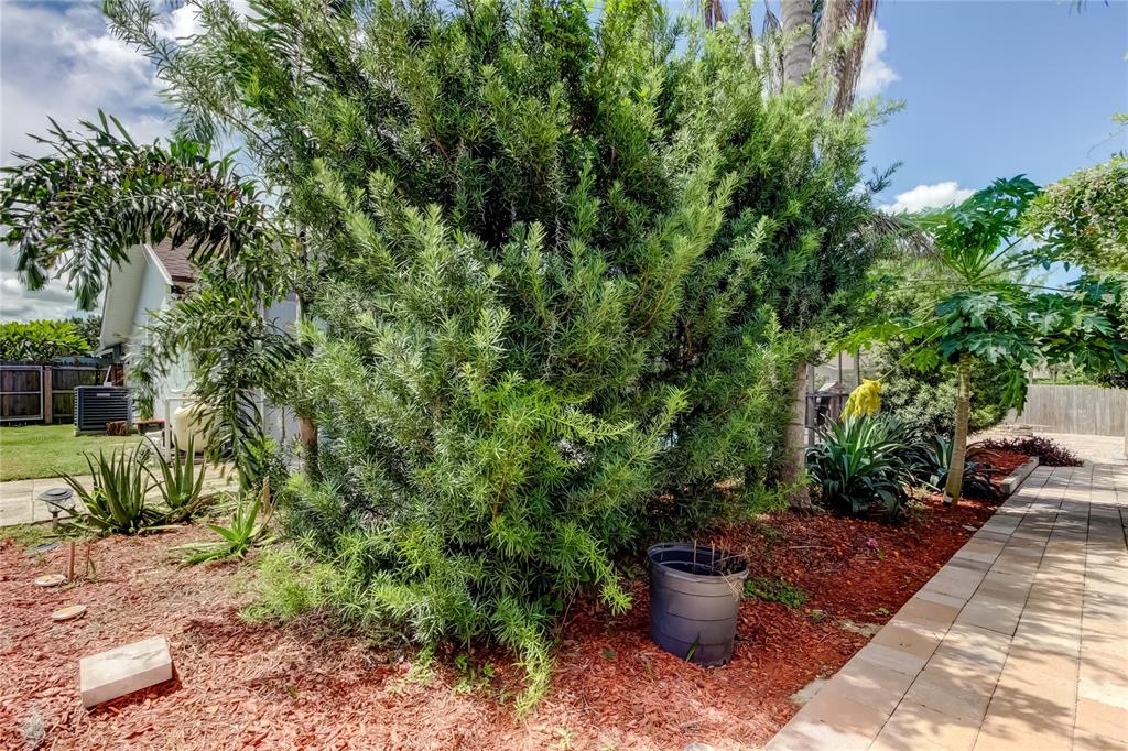 1800 Sagebrush Road Plant City, FL 33566 - Photo 43 of 47