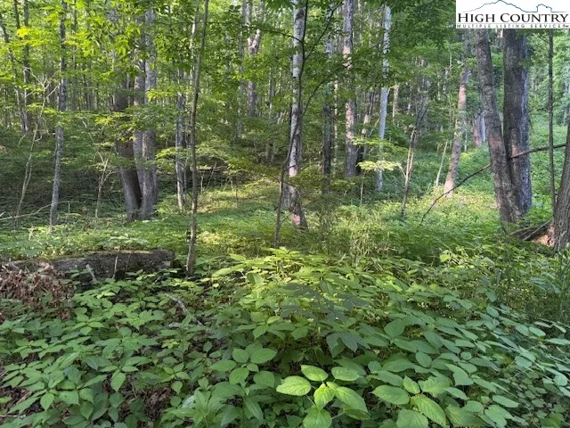 $14,000 | Lot 58-59 Beechwood Circle, Creston, NC 28615