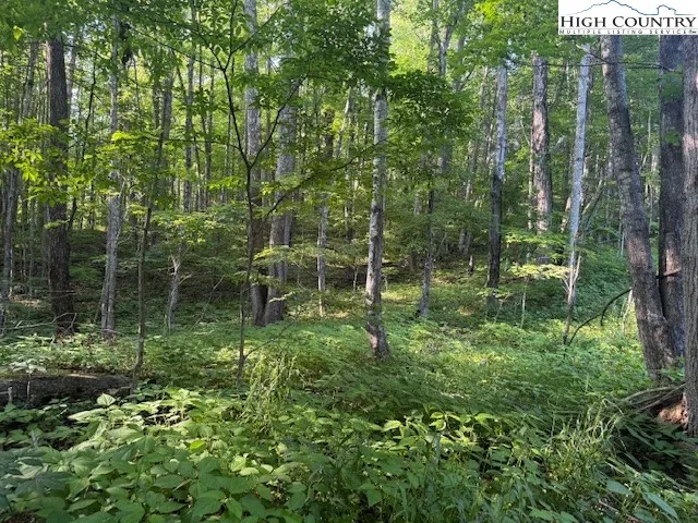 $14,000 | Lot 58-59 Beechwood Circle, Creston, NC 28615