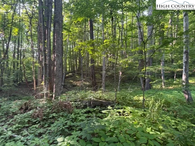 $14,000 | Lot 58-59 Beechwood Circle, Creston, NC 28615
