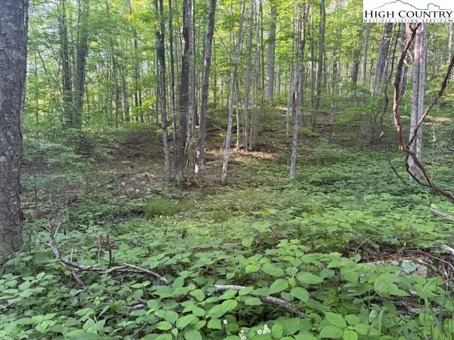 $14,000 | Lot 58-59 Beechwood Circle, Creston, NC 28615