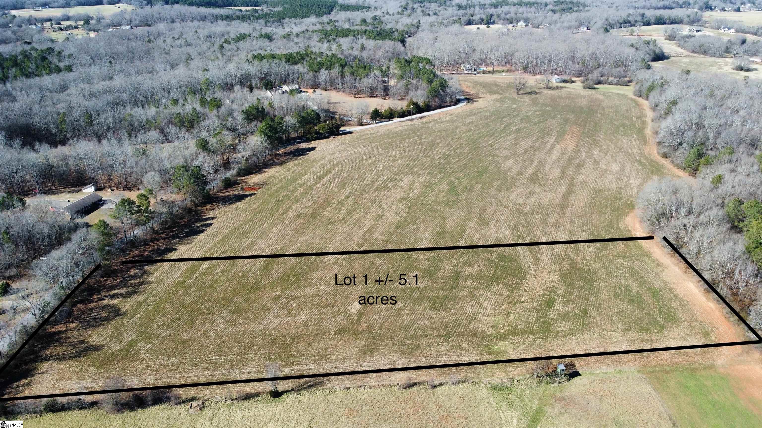 1 Snow Road Pelzer, SC 29669 - Photo 1 of 12