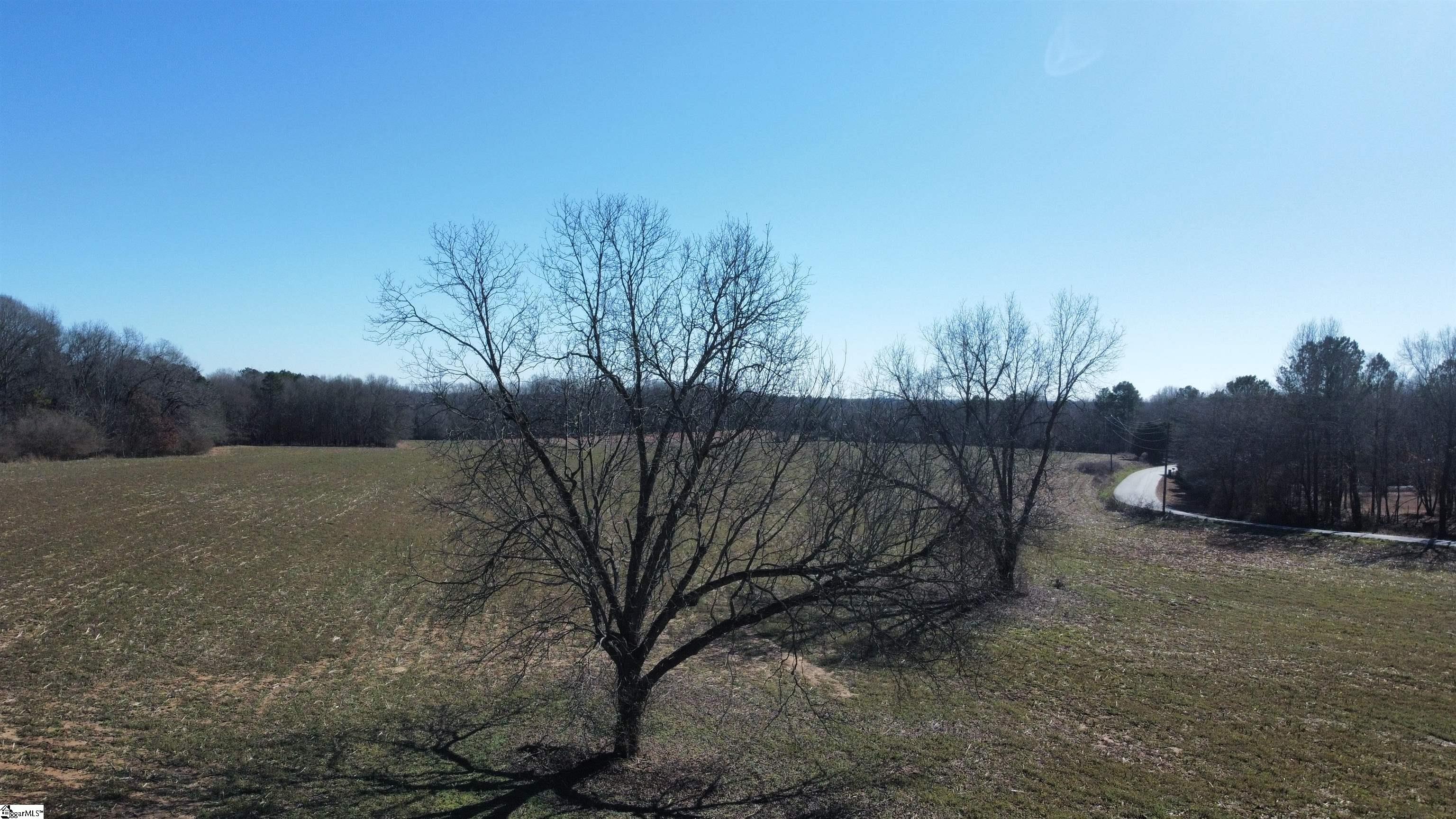 1 Snow Road Pelzer, SC 29669 - Photo 12 of 12