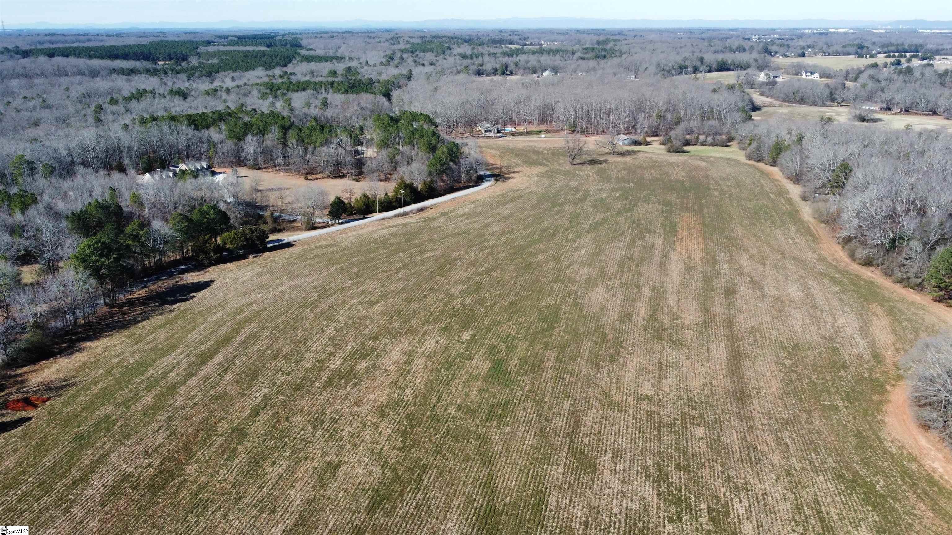 1 Snow Road Pelzer, SC 29669 - Photo 3 of 12