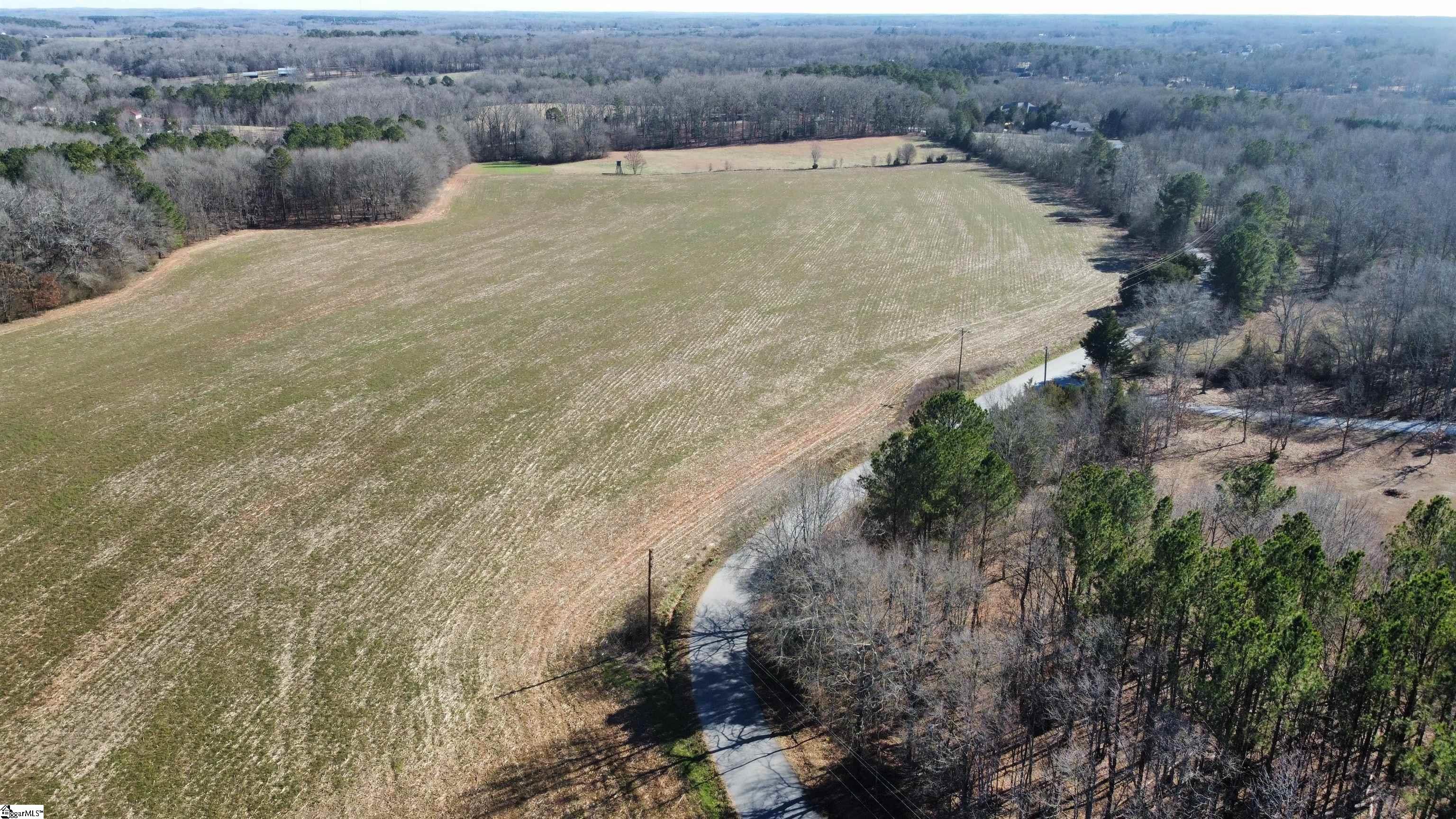 1 Snow Road Pelzer, SC 29669 - Photo 9 of 12