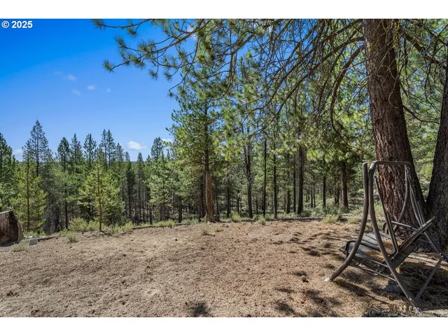 a view of outdoor space with trees all around