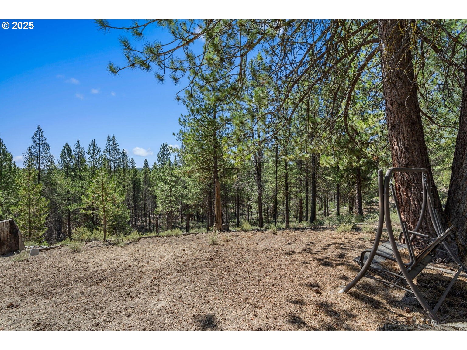143970 Highway 97 Gilchrist, OR 97737 - Photo 19 of 30 a view of outdoor space with trees all around
