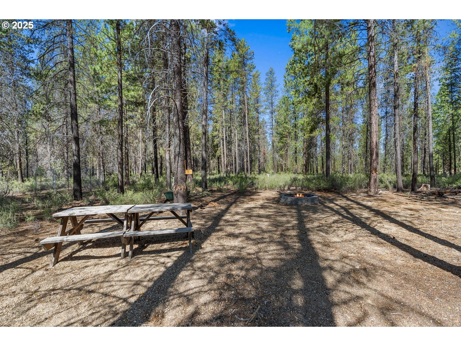 143970 Highway 97 Gilchrist, OR 97737 - Photo 20 of 30 a view of a backyard with trees
