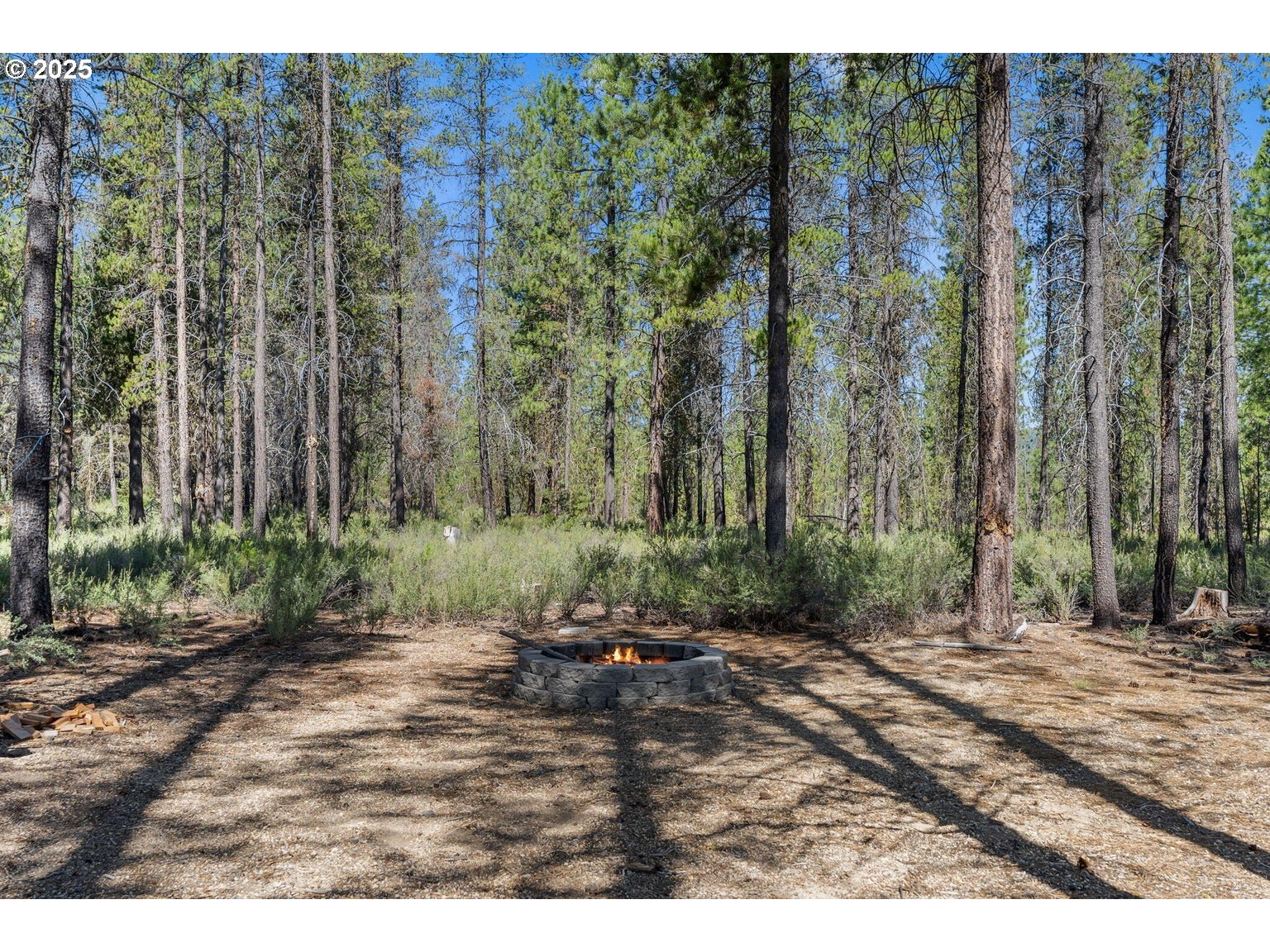 143970 Highway 97 Gilchrist, OR 97737 - Photo 21 of 30 a view of outdoor space and yard