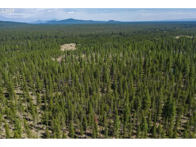 a view of a lush green hillside and houses