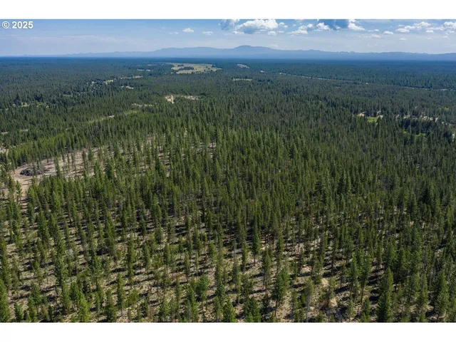 a view of city and an ocean