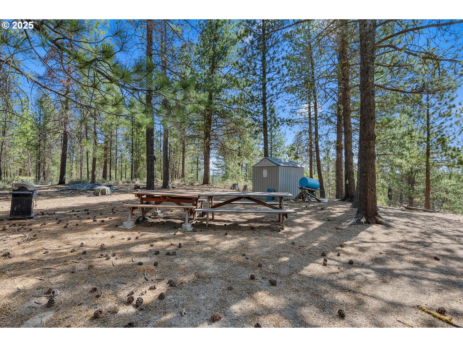 143970 Highway 97 Gilchrist, OR 97737 - Photo 30 of 30 a view of outdoor space with trees