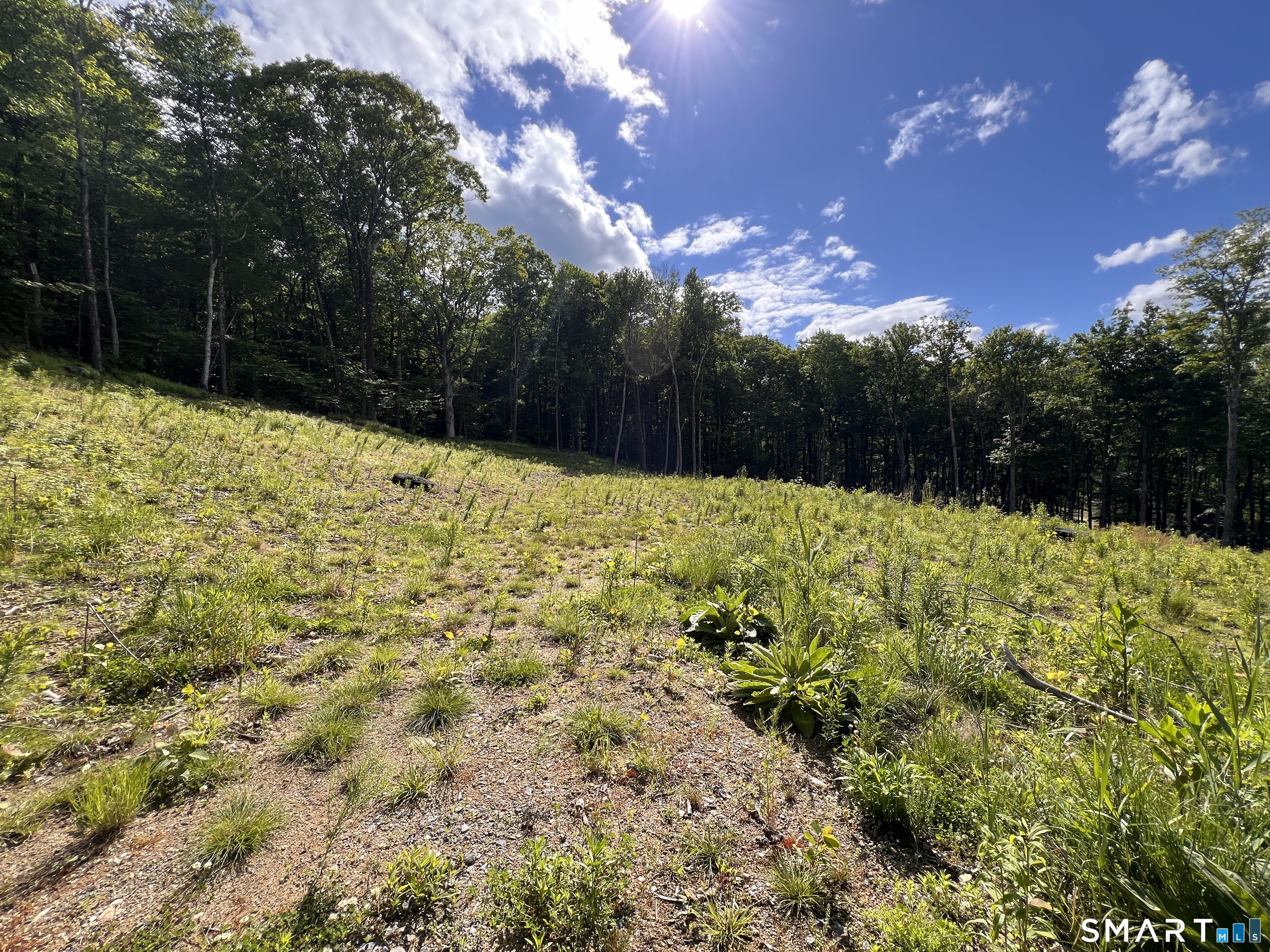 Cotton Hill Road New Hartford, CT 06057 - Photo 5 of 8