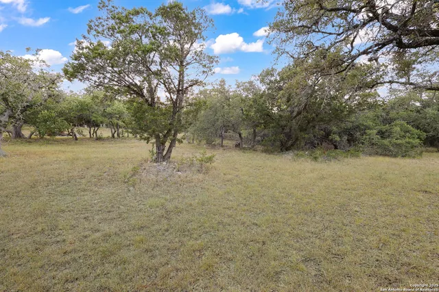 a view of a yard with an trees