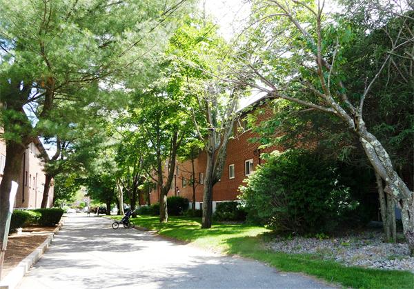 50 Bryon Road, Unit 1 Boston, MA 02467 - Photo 2 of 10