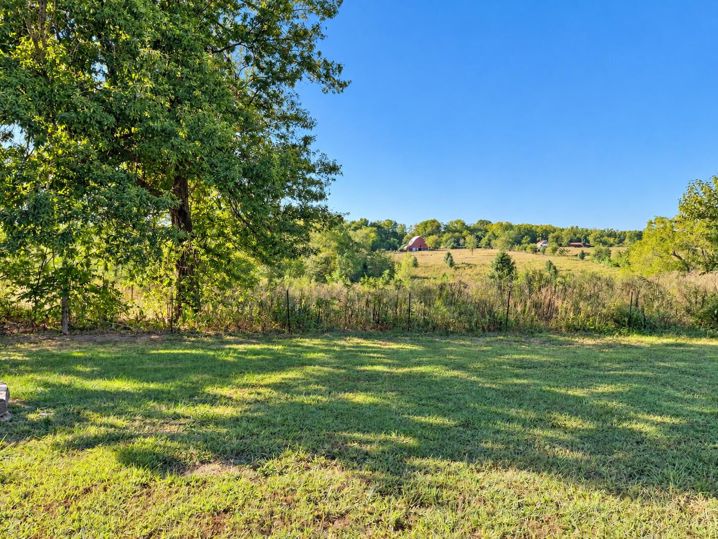 4590 West University Street Springfield, MO 65802 - Photo 35 of 44 C466D864-AE9B-4082-97FC-CA3495321CD3
