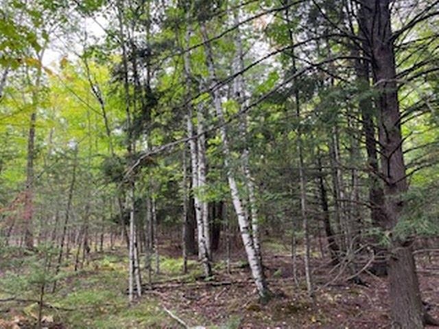 Fawn Lane, Unit 37 Ellison Bay, WI 54210 - Photo 4 of 10