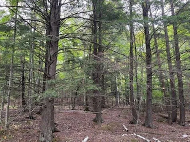 $89,900 | Fawn Lane, Unit 37, Ellison Bay, WI 54210