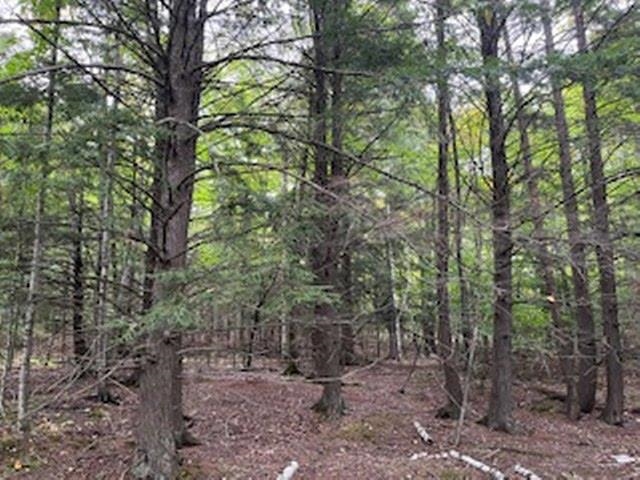 Fawn Lane, Unit 37 Ellison Bay, WI 54210 - Photo 5 of 10