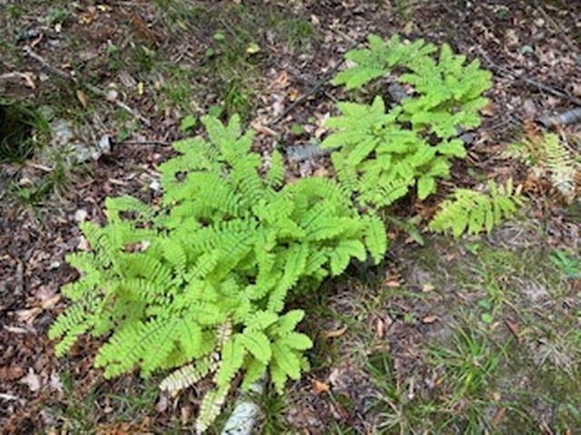 Fawn Lane, Unit 37 Ellison Bay, WI 54210 - Photo 6 of 10