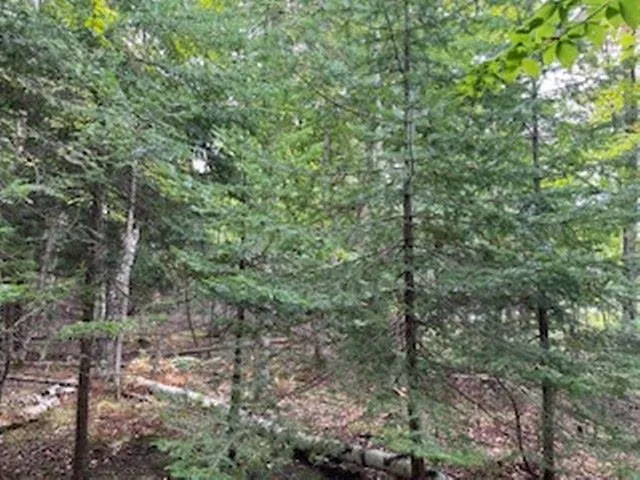 $89,900 | Fawn Lane, Unit 37, Ellison Bay, WI 54210