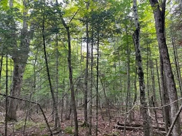 $89,900 | Fawn Lane, Unit 37, Ellison Bay, WI 54210