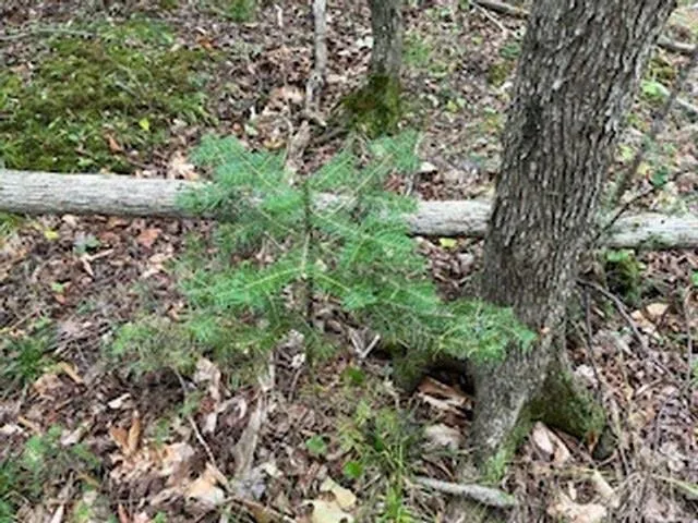 $89,900 | Fawn Lane, Unit 37, Ellison Bay, WI 54210