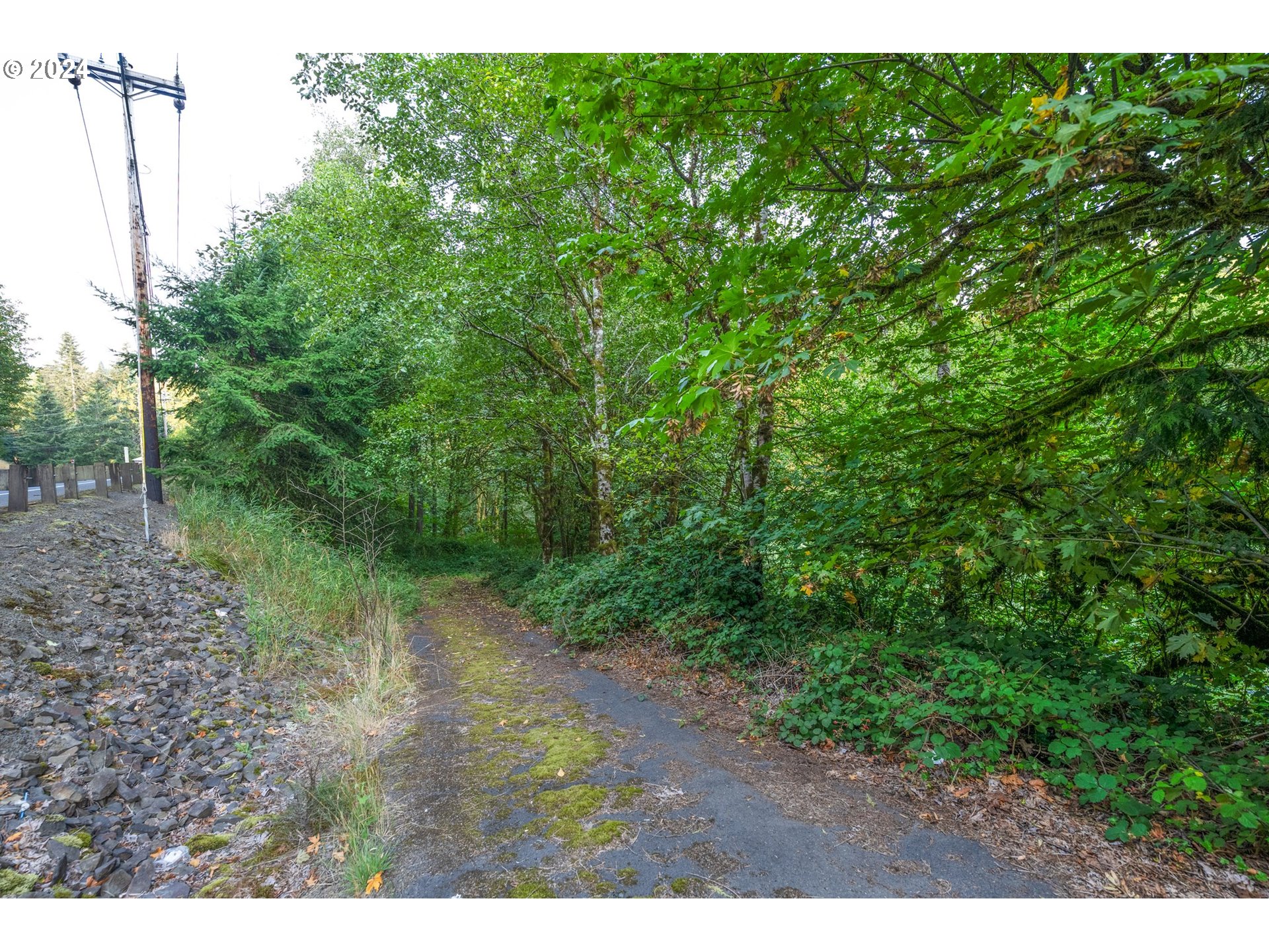 593 Coal Creek Road Longview, WA 98632 - Photo 1 of 10 a view of a yard