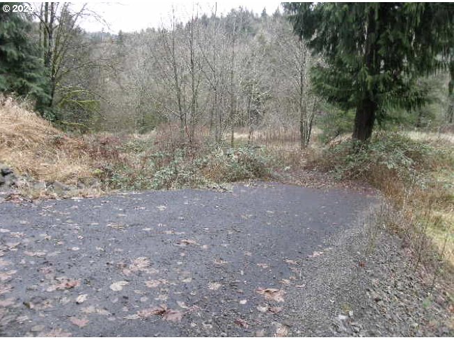 593 Coal Creek Road Longview, WA 98632 - Photo 4 of 10 a view of a forest with trees in the background
