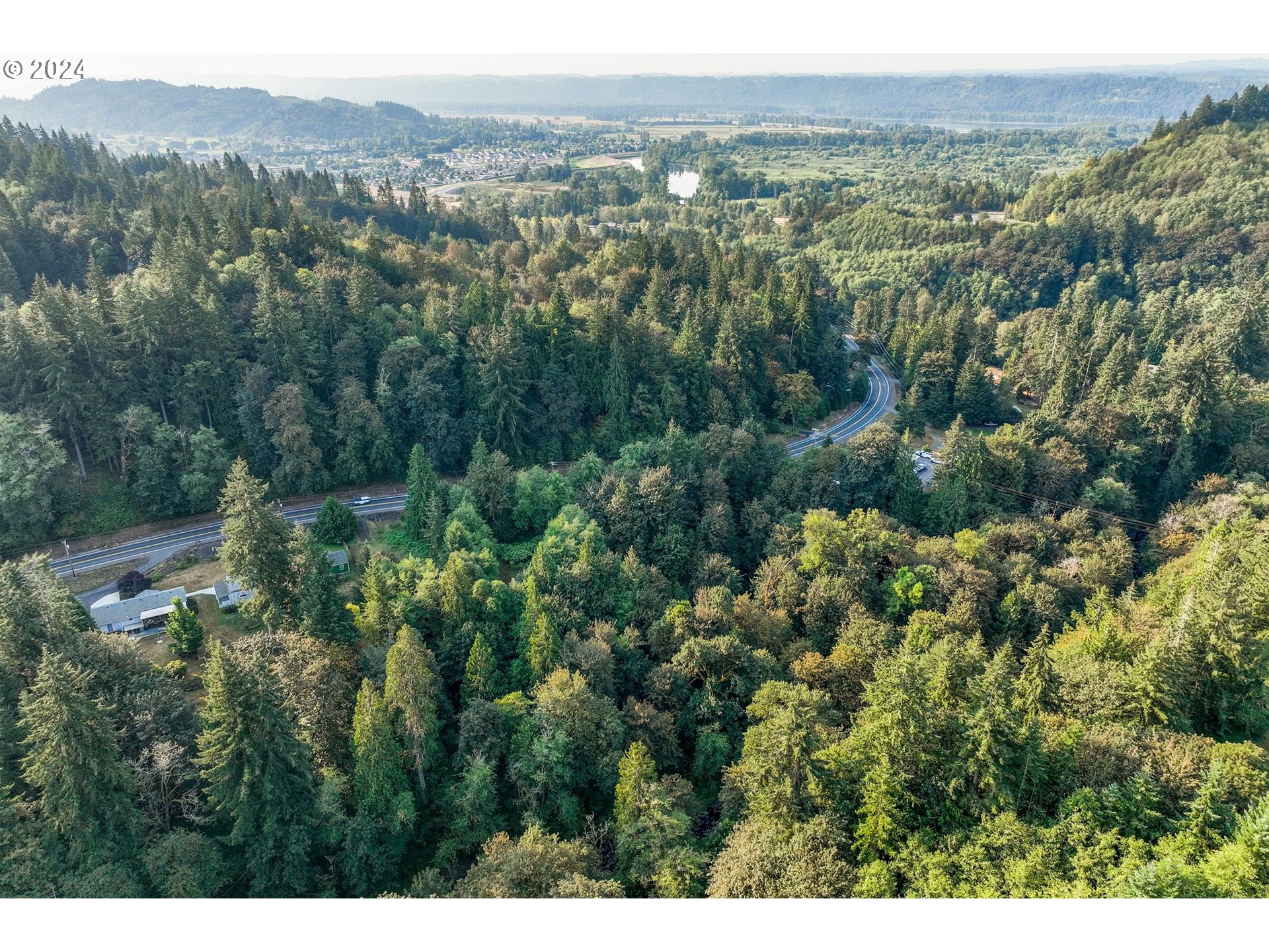 593 Coal Creek Road Longview, WA 98632 - Photo 9 of 10 a view of a city with lush green forest