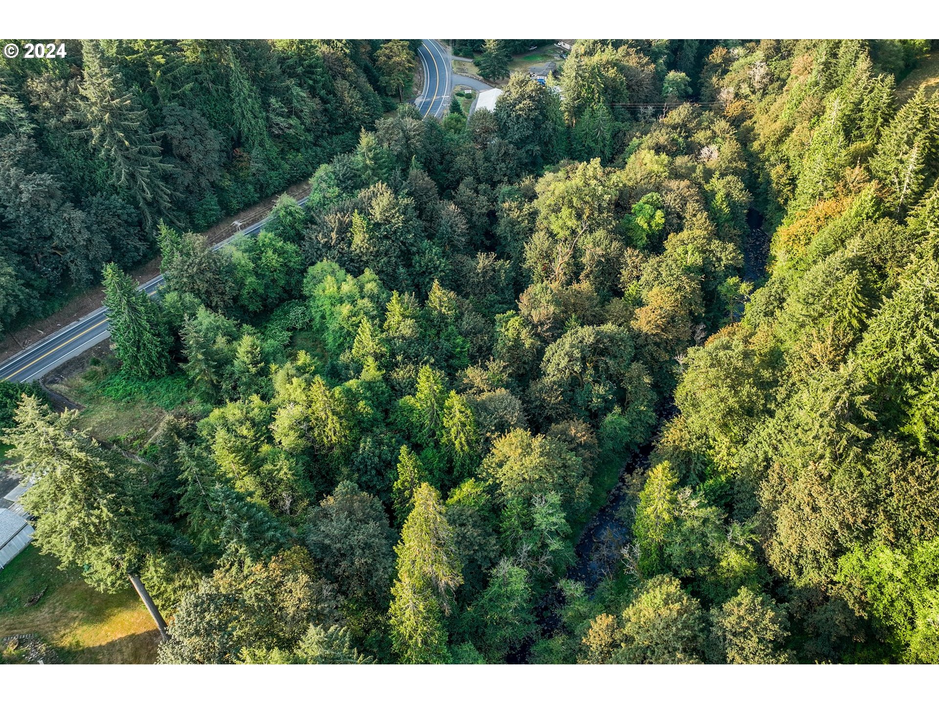 593 Coal Creek Road Longview, WA 98632 - Photo 10 of 10 a view of a forest with a street