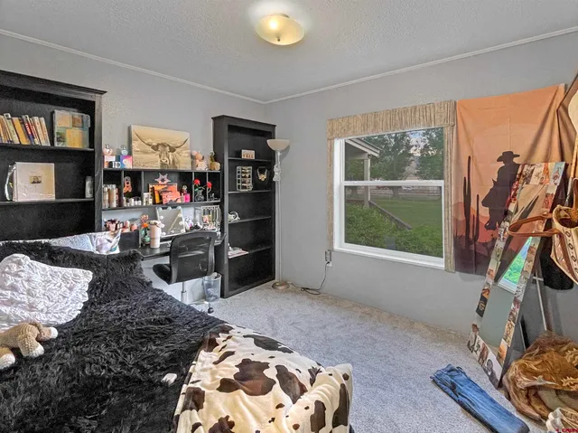 $389,900 | 21043 Road C 7 Cortez Co 81321, Cortez, CO 81321