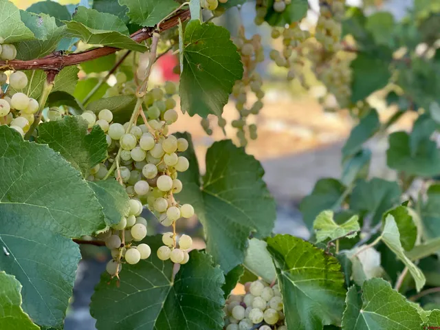 $389,900 | 21043 Road C 7 Cortez Co 81321, Cortez, CO 81321